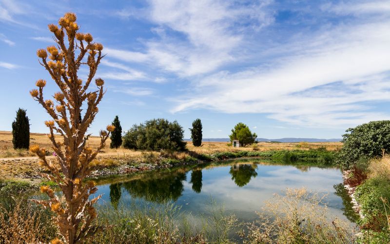 Laguna de antigua depuradora