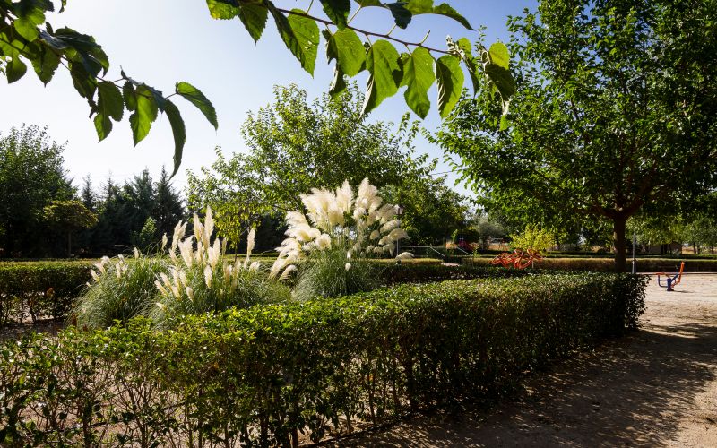 Parque Carretera de Orgaz